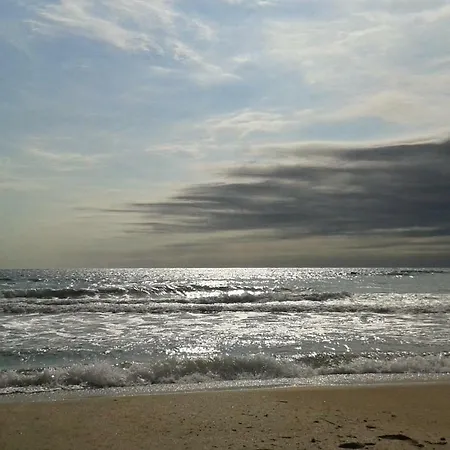 флора - гр.приморско ммц Apartamento