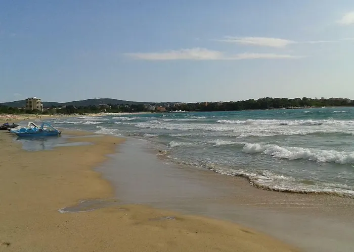 Daire флора - гр.приморско ммц