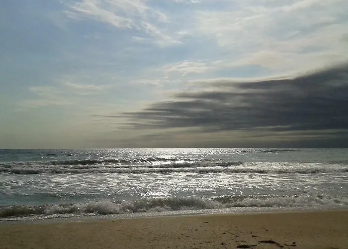 флора - гр.приморско ммц Daire