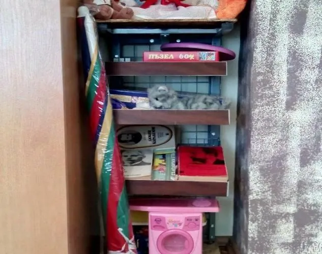 Daire флора - гр.приморско ммц *